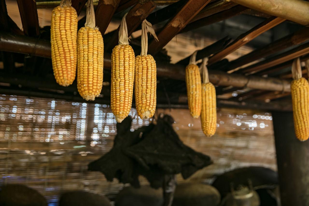 Tavan Riverside Ecolodge Sapa Dış mekan fotoğraf